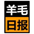 羊毛日报